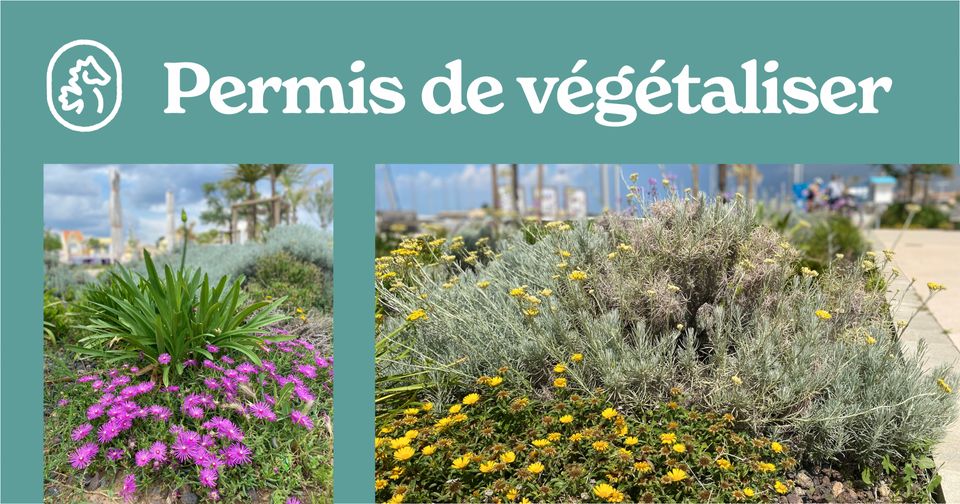 Permis de végétaliser